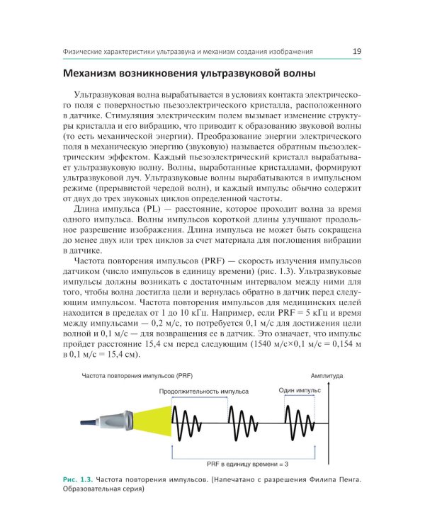 Ультразвуковая навигация в интервенционном лечении боли. Иллюстрированное пошаговое руководство