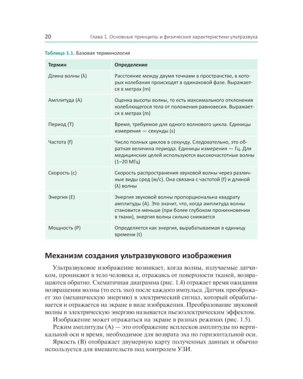 Ультразвуковая навигация в интервенционном лечении боли. Иллюстрированное пошаговое руководство