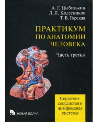 Практикум по анатомии человека: В 4 ч. Ч. 3. Сердечно-сосудистая и лимфоидная системы