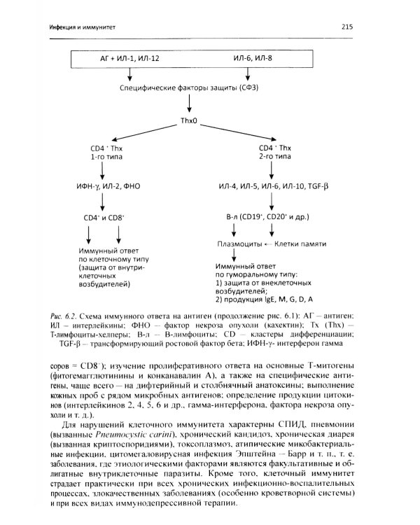 Клиническая фармакология: Учебник для медицинских вузов. 7-е изд., перераб.и доп