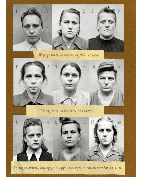 Родина. Немецкий семейный альбом: графическое эссе