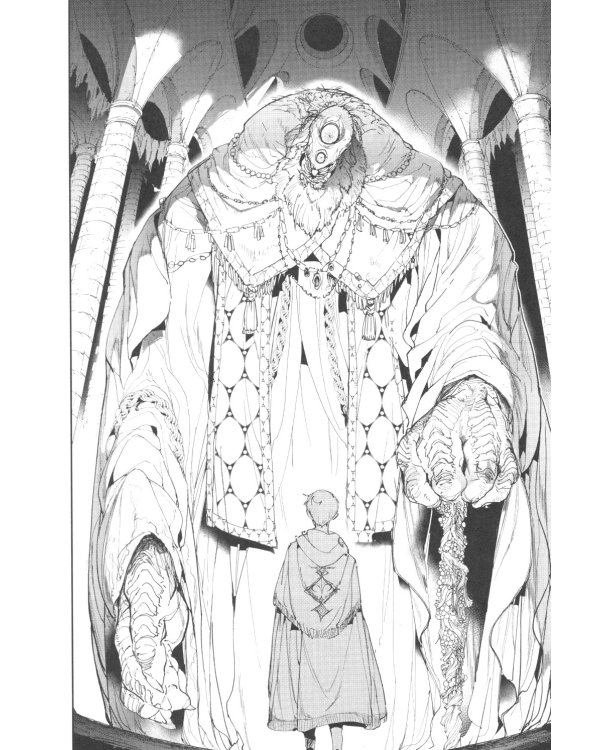 Обещанная страна грез. Кн. 8. (Включает в себя оригинальные тома 15 и 16)