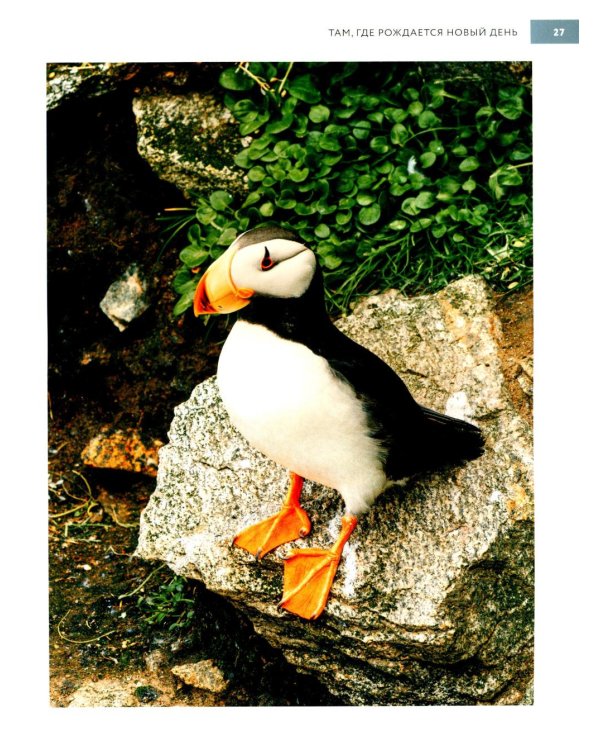 Россия, которая удивляет! Путешествие по бескрайним просторам страны в снимках Павла Матвеева