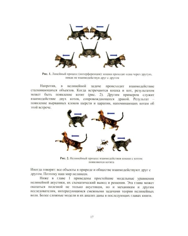 Нелинейная акустика: монография