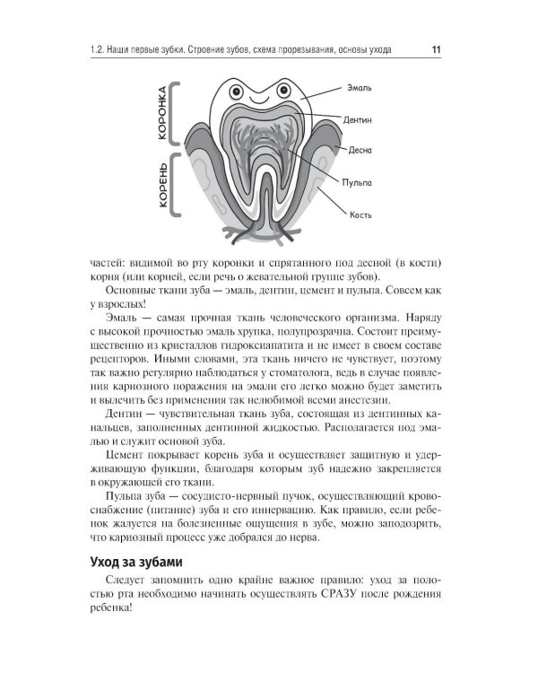 Введение в профилактическую стоматологию: Учебное пособие