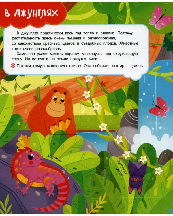 Животные: книга с окошками (более 30 окошек)