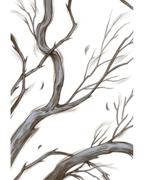 Злой король; Жестокий принц; Королева ничего; Как король Эльфхейма научился ненавидеть истории (комплект из 4-х книг)