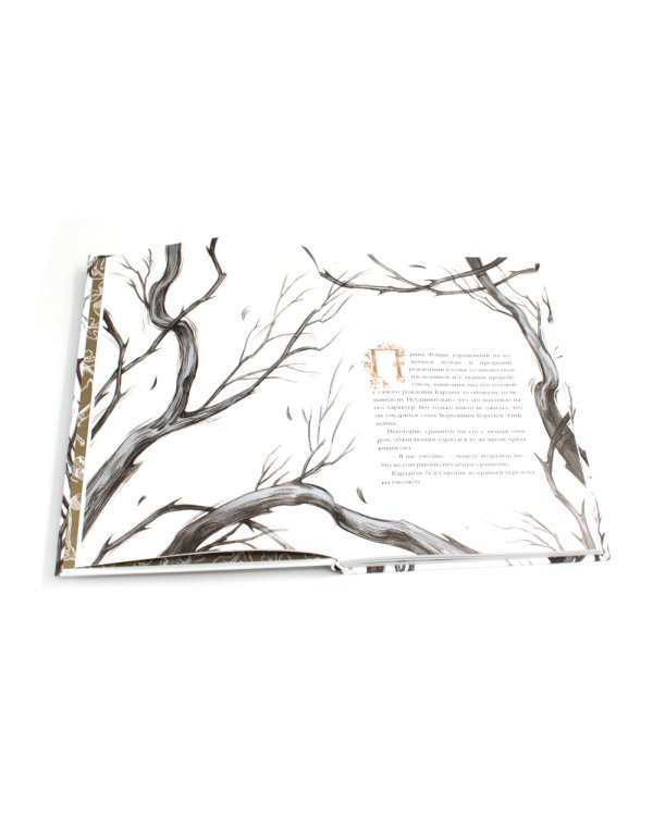 Злой король; Жестокий принц; Королева ничего; Как король Эльфхейма научился ненавидеть истории (комплект из 4-х книг)