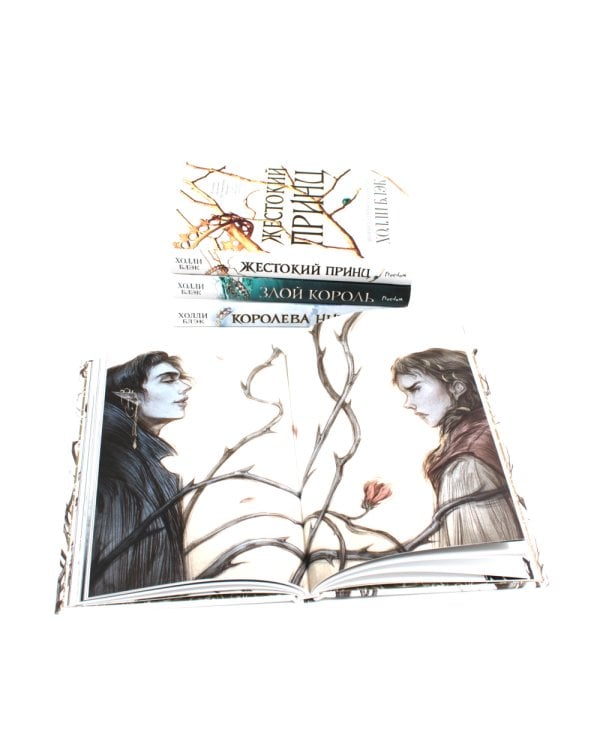 Злой король; Жестокий принц; Королева ничего; Как король Эльфхейма научился ненавидеть истории (комплект из 4-х книг)