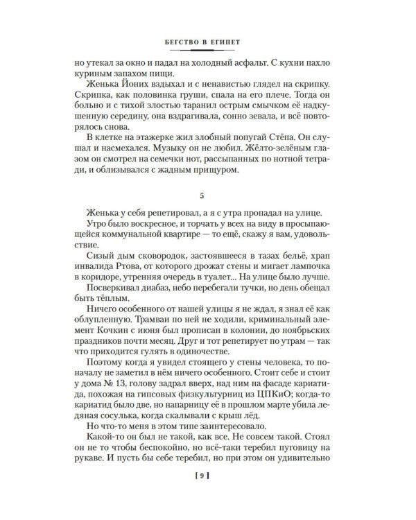 Бегство в Египет. Петербургские светотени: романы, повести, рассказы