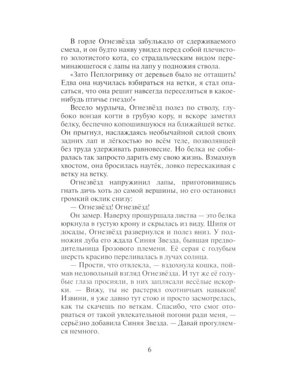 Дополнительное изображение книги «Коты-воители. Гроза Ежевичной Звезды. Кн. 1: Бедствие»