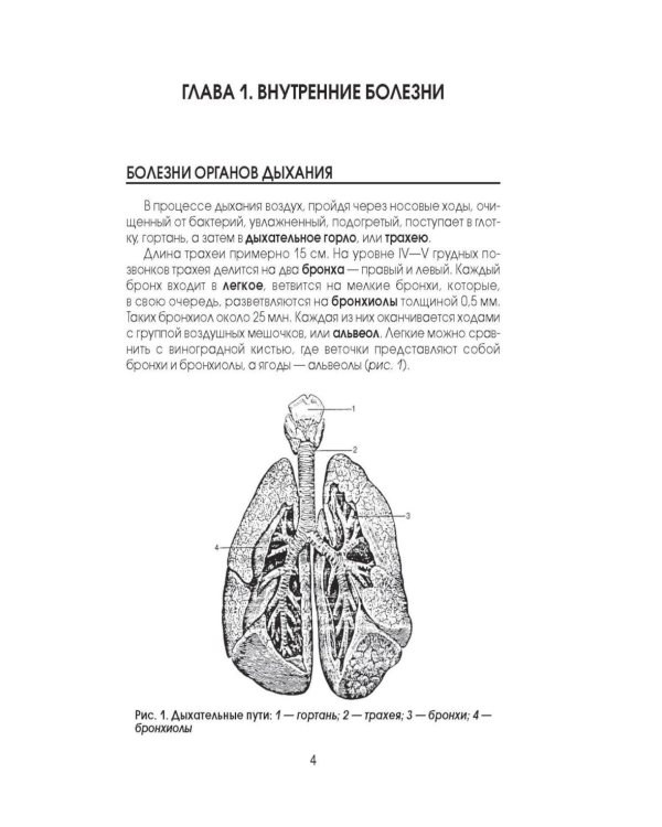 Медицинская энциклопедия