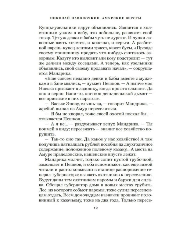Амурские версты: роман