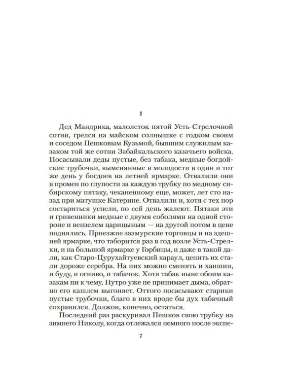 Амурские версты: роман