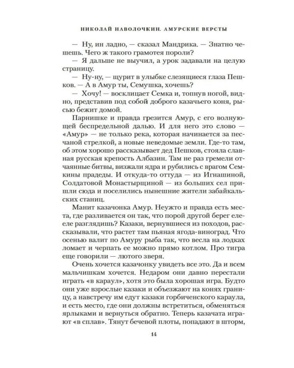 Амурские версты: роман