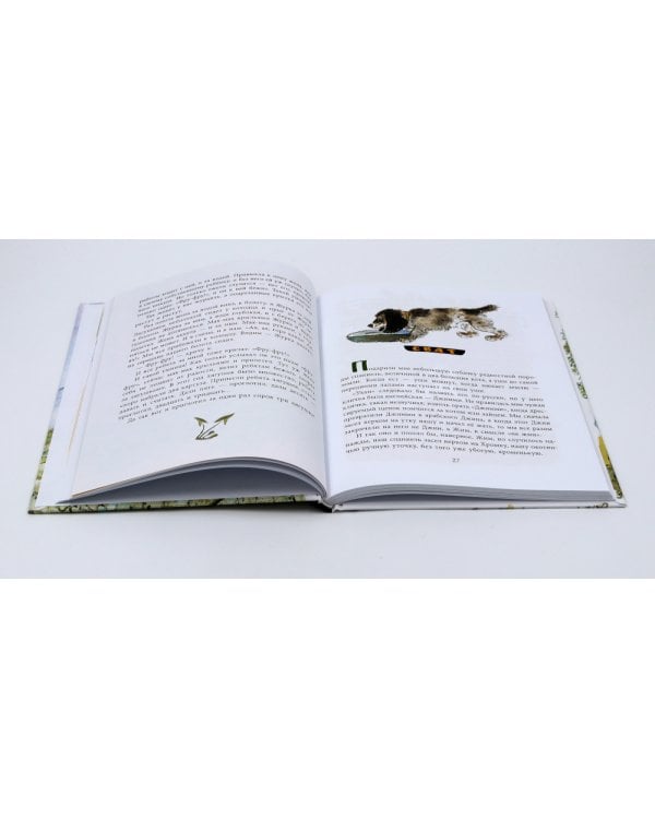 Две книги - один художник: Пришвин и Крылов глазами Евгения Рачева (комплект из 2-х книг)