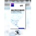 Высшее образование Философия в схемах и таблицах. Учебное пособие