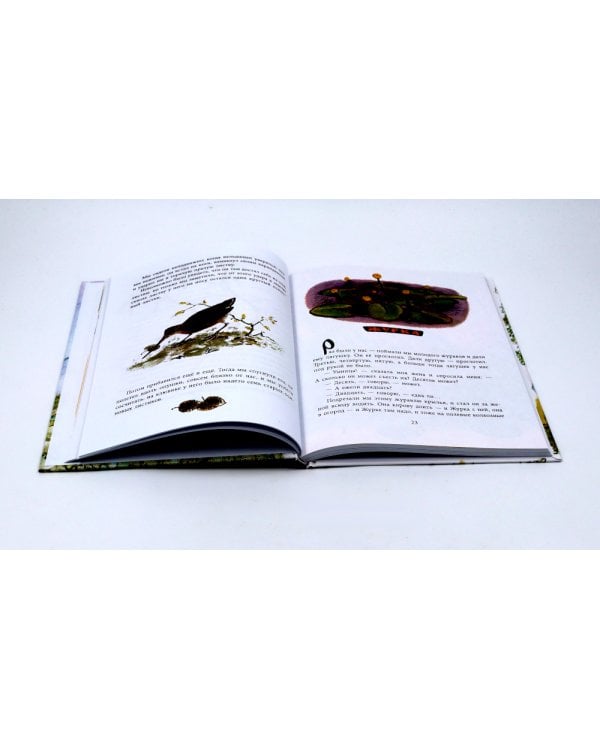 Две книги - один художник: Пришвин и Крылов глазами Евгения Рачева (комплект из 2-х книг)