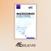 Высшее образование Философия в схемах и таблицах. Учебное пособие