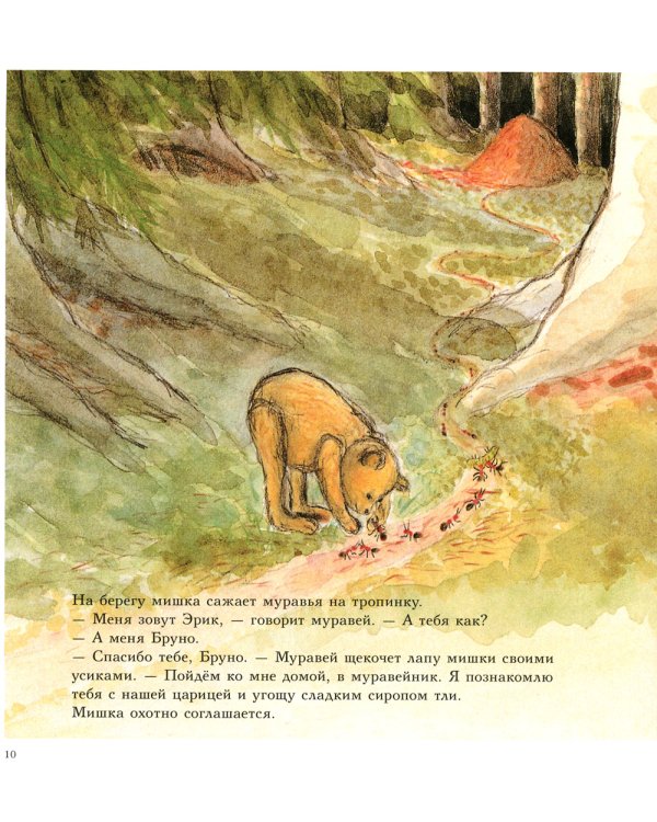 Мишка Бруно в лесу: познавательная книжка-картинка