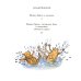 Мишка Бруно в лесу: познавательная книжка-картинка