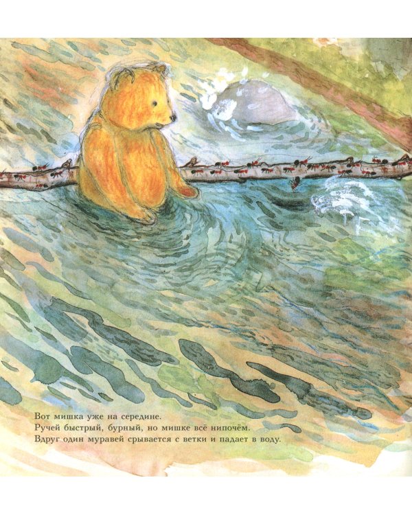 Мишка Бруно в лесу: познавательная книжка-картинка