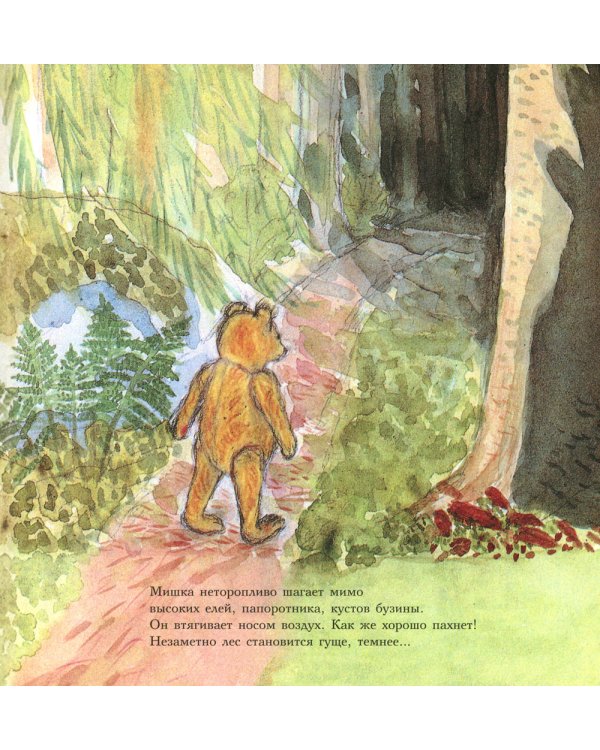 Мишка Бруно в лесу: познавательная книжка-картинка