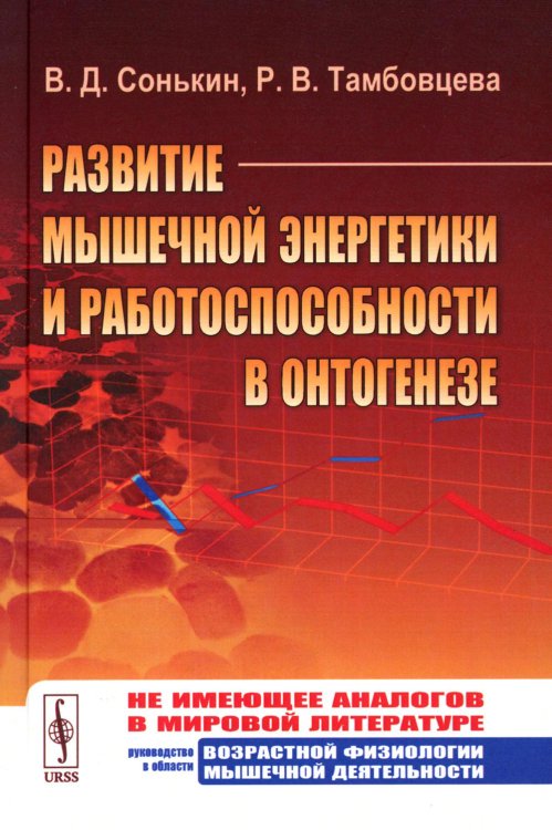 Развитие мышечной энергетики и работоспособности в онтогенезе Развитие мышечной энергетики и работоспособности в онтогенезе