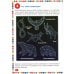 Детская энциклопедия для почемучек обо всем на свете. 111 ответов на самые интересные вопросы Детская энциклопедия для почемучек обо всем на свете. 111 ответов на самые интересные вопросы