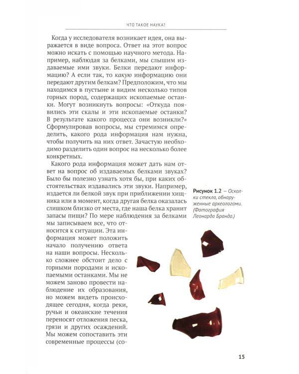 Вера, разум и история Земли