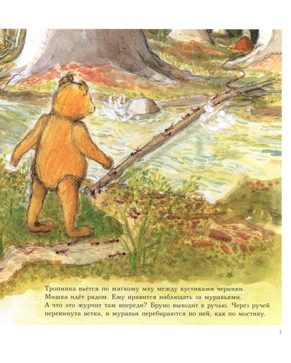 Мишка Бруно в лесу: познавательная книжка-картинка