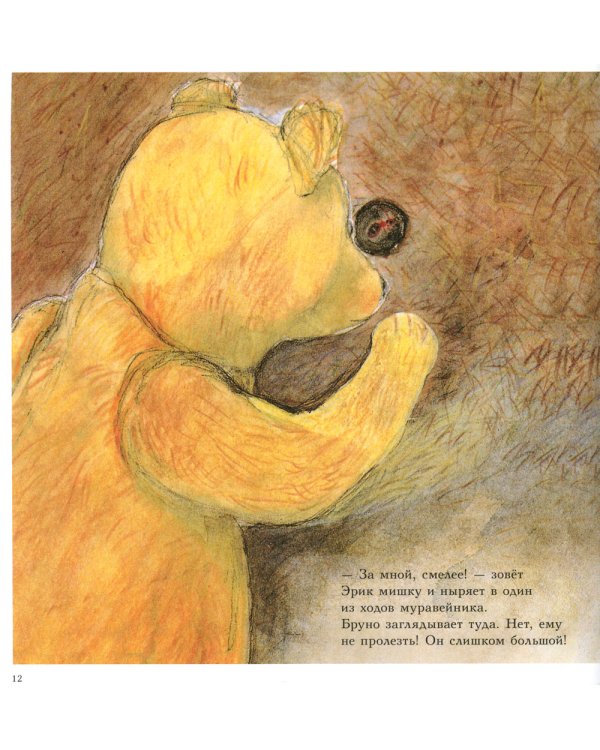 Мишка Бруно в лесу: познавательная книжка-картинка