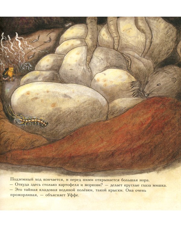 Мишка Бруно в саду: познавательная книжка-картинка