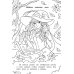 Ведьмы и волшебницы: книжка-раскраска