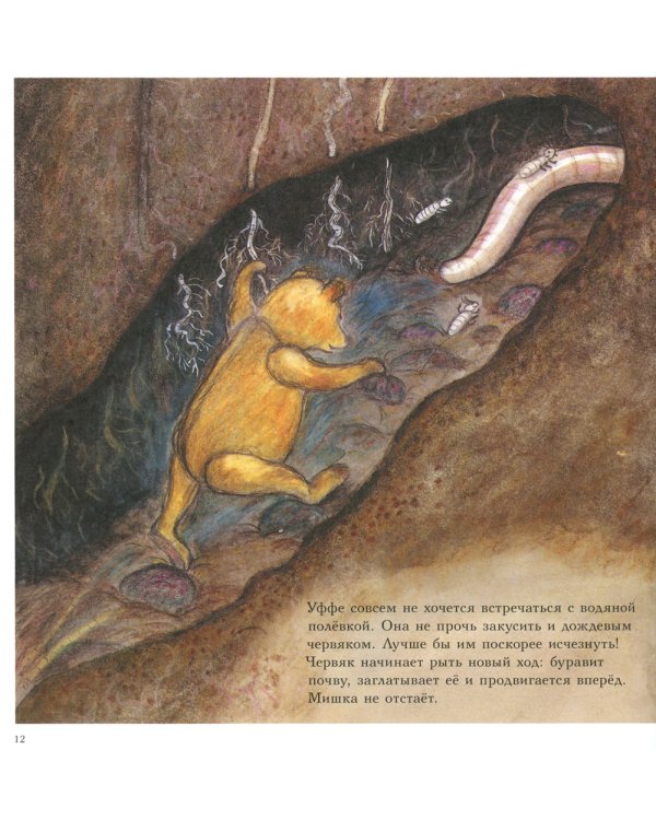 Мишка Бруно в саду: познавательная книжка-картинка