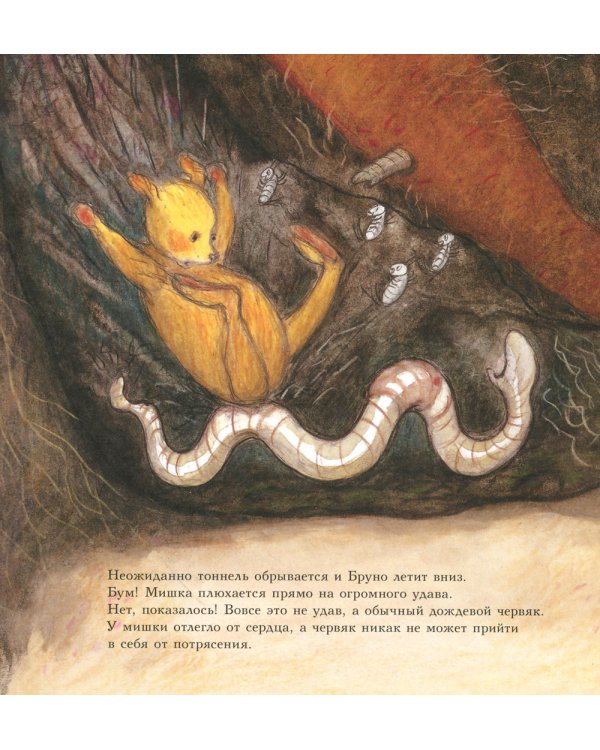 Мишка Бруно в саду: познавательная книжка-картинка