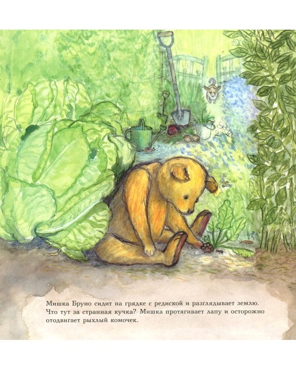 Мишка Бруно в саду: познавательная книжка-картинка