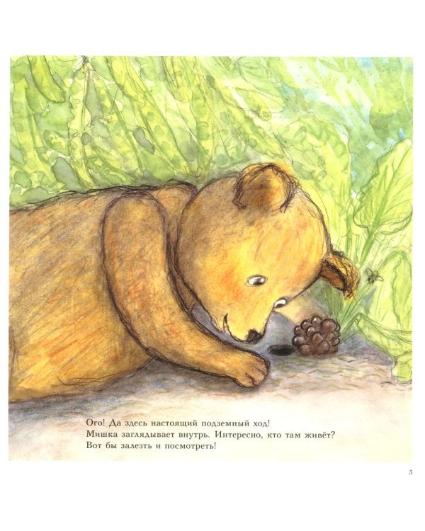 Мишка Бруно в саду: познавательная книжка-картинка