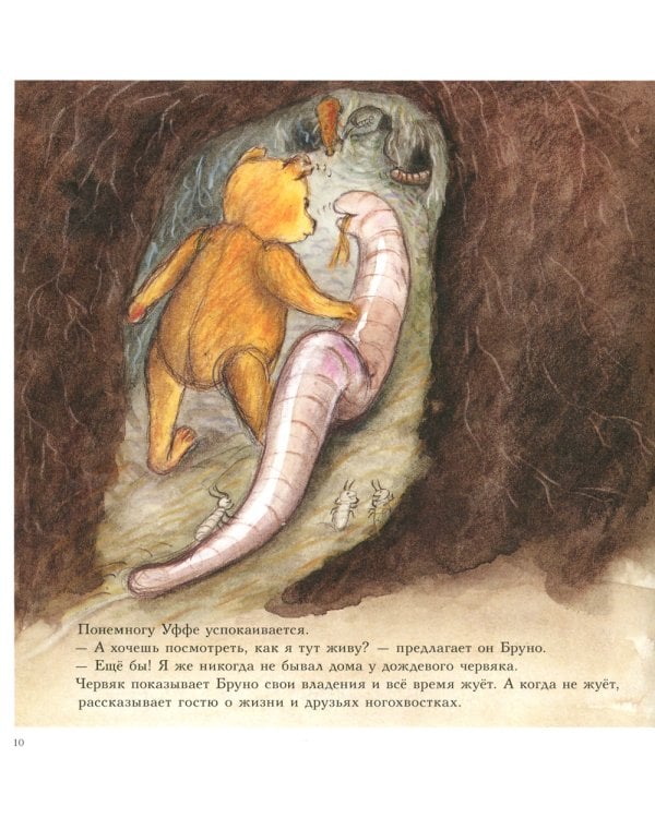 Мишка Бруно в саду: познавательная книжка-картинка