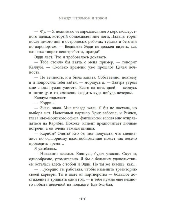 Между штормом и тобой: роман