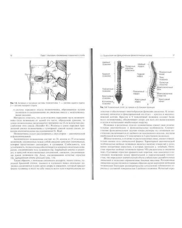 Боль в спине. Диагностика и лечение