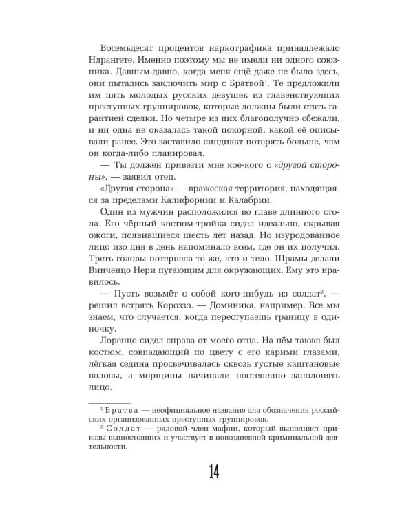 Дополнительное изображение книги «Исполнитель»