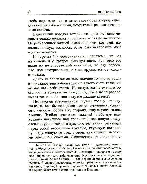 Беглец: роман