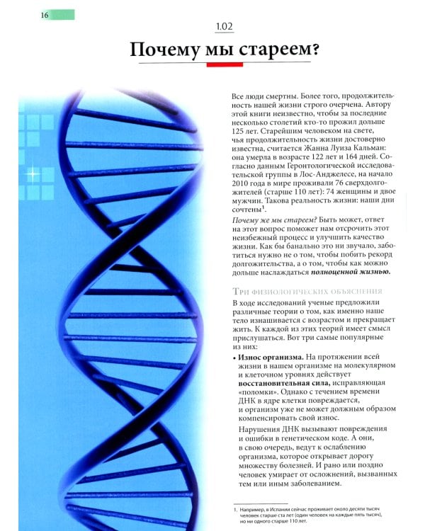 Активное долголетие. Как радоваться жизни без оглядки на возраст