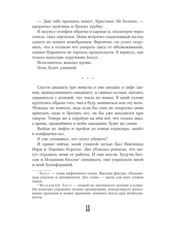 Дополнительное изображение книги «Исполнитель»