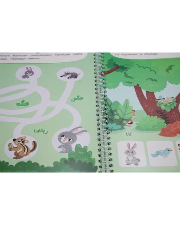 Многоразовая тетрадь. Развиваем логику. 3-4 года (+ маркер)