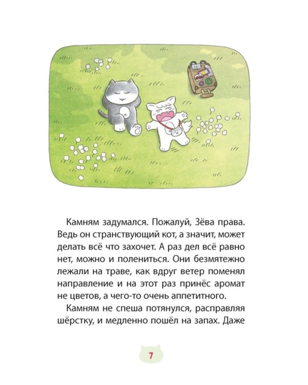 Кот идет в поход