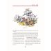 Дополнительное изображение книги «Князь Рюрик. Юность героя»