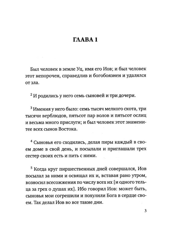 Дополнительное изображение книги «Книга Иова»