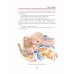 Дополнительное изображение книги «Князь Рюрик. Юность героя»